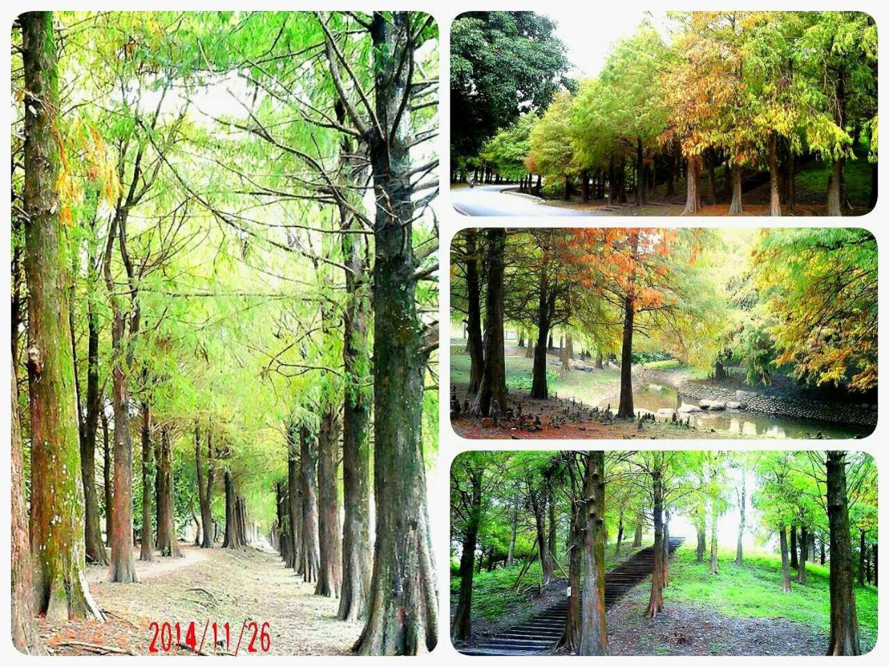 公園 B&B Lotung Kültér fotó